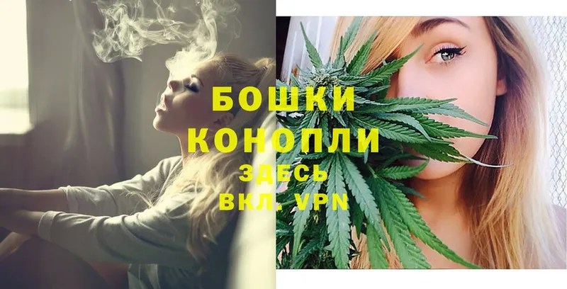 Канабис Ganja  Нестеровская 